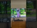 America S Funniest Home Videos All Mascot Fails