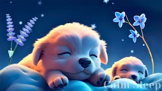 Download lagu (No Ads) Sleep Instantly Tonight • Healing Music for Overthinking, Stress & Deep Rest mp3