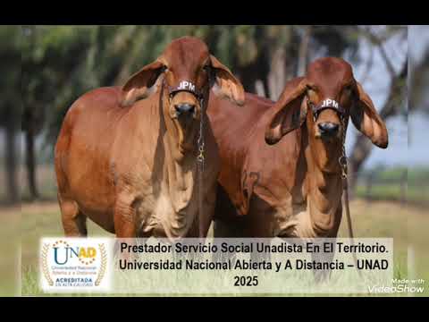 ACCION SOLIDARIA EN TAME - ARAUCA__LAURA GABRIELA BONILLA