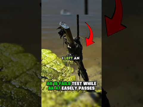 AR-15 vs AK-47 After 100 Days in a Pond