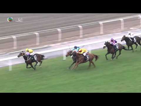 2015 Hong Kong International Sprint (International Group 1)