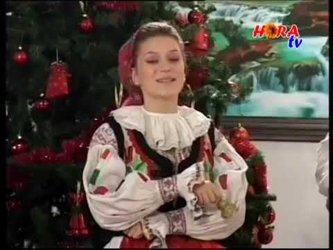 LAVINIA MARIA CHIFOR -Pe strada din Viflaim