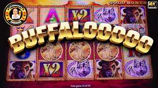 🗣Buffalooooooo - Winning BIG MONEY on Buffalo Gold
