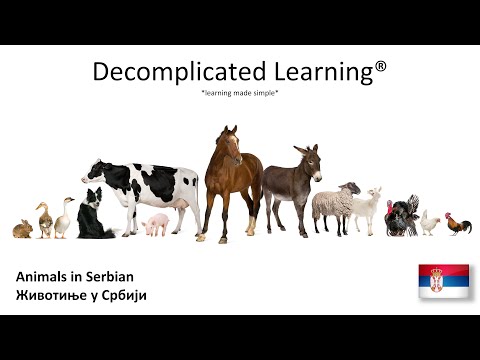 Learn Animals in Serbian