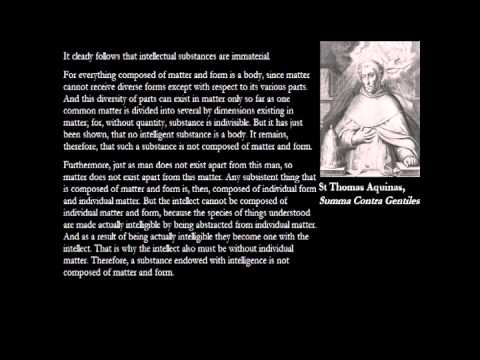 The Immortality of the Human Soul