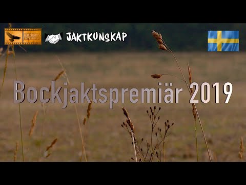 Jaktkunskap Film – Bockjaktspremiär 2019
