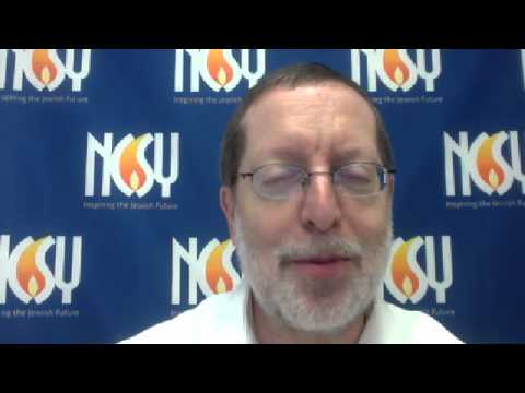 DAILY DVAR AUG 10 2015 Put a bookcase shelf back in its spot on Shabbos?