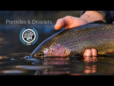 Particles &amp; Droplets - IF4 Fly Fishing Film Festival film - How High Can a Rainbow Jump???