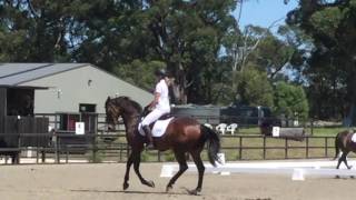 Youth Rider Training Intensive