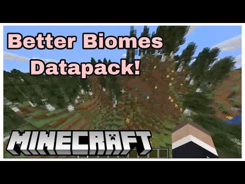 Syoxx - Better Biomes Datapack Review! | Minecraft Datapacks #2
