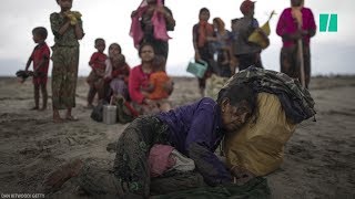 Sonderhilfe für Rohingya