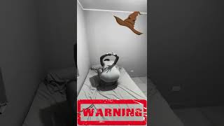 Download lagu Di Entod Setan mp3