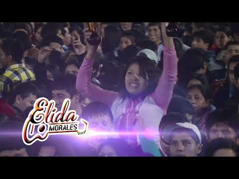 ❤️ELIDA MORALES ❤️PLANTA DE MAGUEY ÉXITO 2019 (REQUINTO)