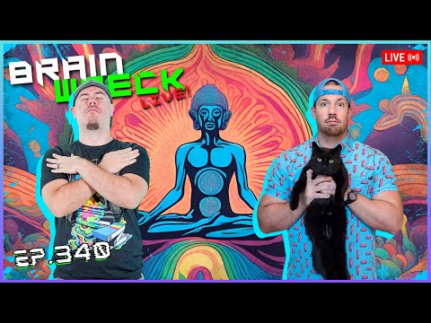 Zen and the Art of Nonsense | Brain Wreck: LIVE - Ep. 340