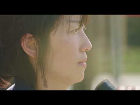 BIFF2024 Trailer l 과녁은 어디에 Lost Target l 와이드 앵글