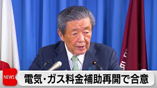 自民・公明　物価高対策として電気・ガス料金の補助再開方針