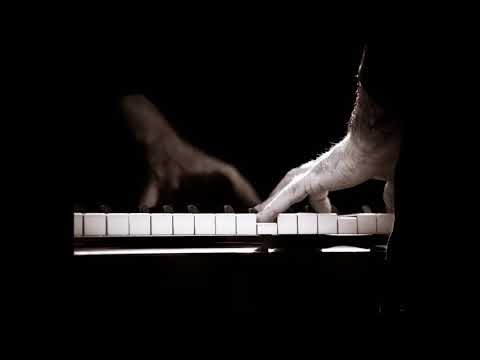 Danny Wright 19首 钢琴曲 轻音乐 纯音乐 Piano Music