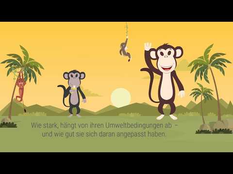 Spektrum erklärt: Synthetische Evolutionstheorie