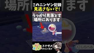 え？！こんな所にニンゲンのきろくあったの？！灯台下暗しでした【ぽこあポケモン ぽこポケ 初心者向け攻略】 #shorts #ゲーム実況