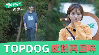 感動再回味💓 7/8起 每週六晚上 一起陪浪浪找到家🐶