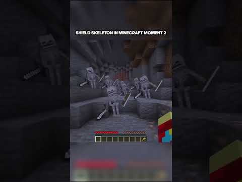 SHIELD SKELETON MEME in Minecraft moment 2