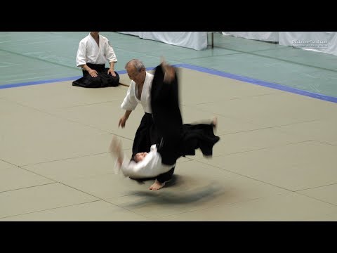 Shirakawa Katsutoshi - 56th All Japan Aikido Demonstration 2018