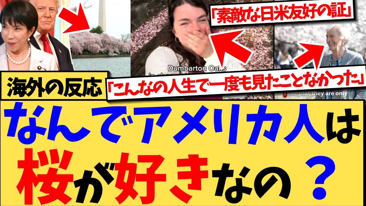 【海外の反応】『父は“日本政府が裏で働きかけてるんじゃないか”って言ってたけど、アメリカ人はこれについてどう思う？』日本から贈られた桜を、毎年心から楽しむアメリカ人の本音が殺到の反応集！