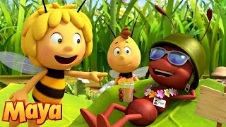 The Ants go on Holiday! 🏝️ Maya The Bee 🐝 Full Episode - Season 2 Episode 1 | Cartoons for Kids