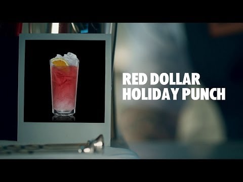 How to make an Absolut Red Dollar Holiday Punch Cocktail | Recipe