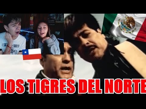 CHILENOS REACCIONAN A Los Tigres Del Norte - Jefe De Jefes