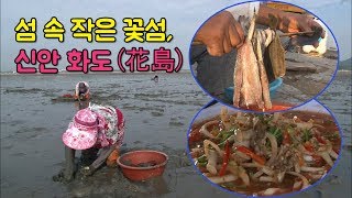 preview picture of video '맛조개와 김농사로 살아가는 작은 섬 '신안 화도' 사람들 [섬섬썸]'