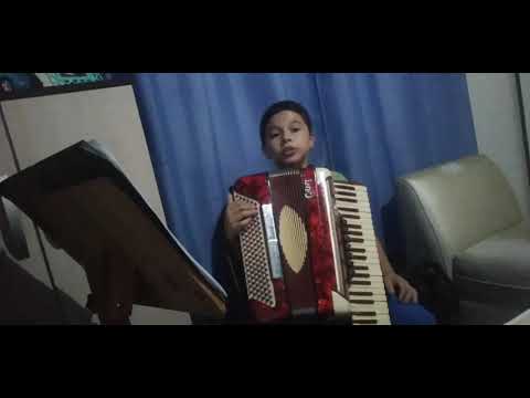 saudades da minha Terra no acordeon