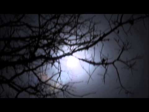 Cor Fijneman -  Blow It All Away (Edit)