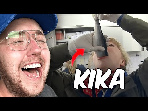 GERMAN MEMES THAT ARE HILARIOUS 😂🔫