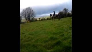 The Chair (Mairead + Russell