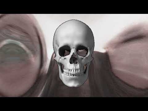 Video thumbnail for world