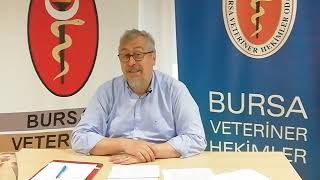 KURBAN ETLERİNİN SAĞLIKLI MUHAFAZA EDİLMESİ