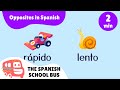 Opposites In Spanish Los Opuestos