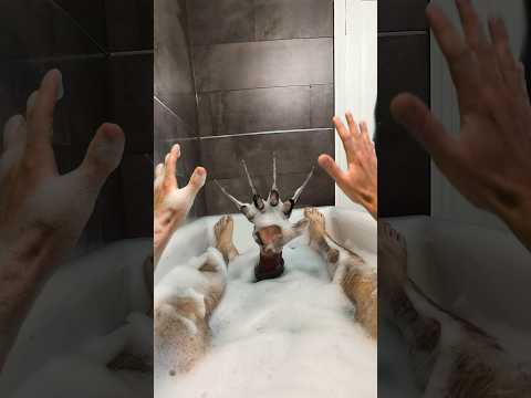 POV: You’re in a nightmare…