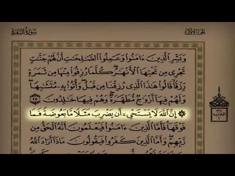 سورة البقرة كاملة بدر التركي رمضان ١٤٤٠