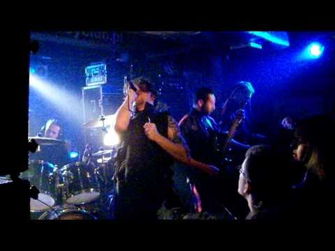 Vedonist live in Bielsko-Biała