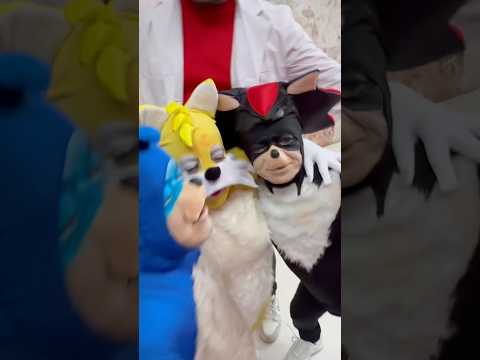 A happy Sonic family ❤️ #sonic3 #memoaponte