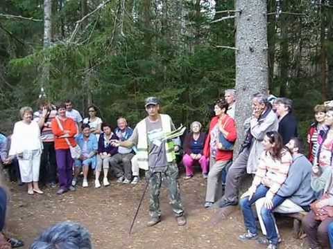 Hogyan lehet meghatározni mikor a férgek