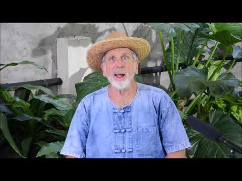 third rate romance low rent rendezvous