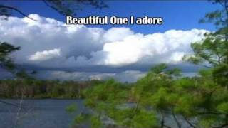 Beautiful One