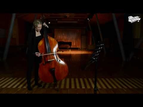 Instrumentpresentation - Kontrabas