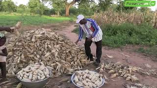 Caravane de presse sur l'agroécologie au Burkina Faso