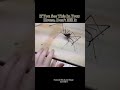 I see it #creepy #spider #animals #dangerous #scary