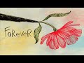 Eric Clapton Forever Official Music Video