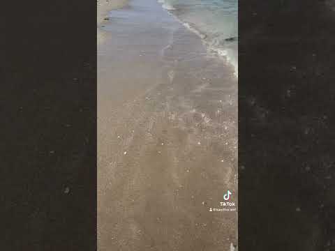 #mare #italia #ravenna #sole #passeggiate  #conchiglia    #sea #italia #sun #seashell #songs #بحر ☀️